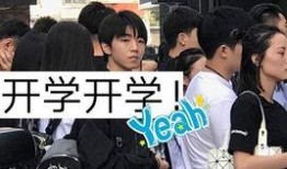 开学爆料的视频大全最新,校园生活新篇章精彩回顾